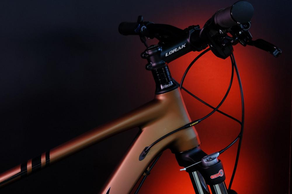 LORAK Sel 9750 SE Матовый Коричневый 21р (на рост 183-190)